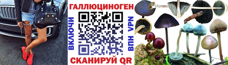 продажа наркотиков  Курчатов  Галлюциногенные грибы Magic Shrooms 